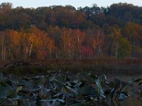 10-22-17-Piscataway-28763