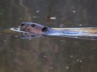 10-22-17-Piscataway-28858