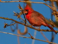 10-22-17-Piscataway-28893