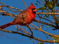 10-22-17-Piscataway-28908