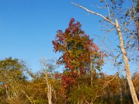 10-22-17-Piscataway-28959