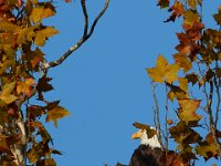 10-22-17-Piscataway-29070