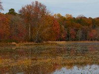 11-03-17-Cash Lake w-T-29506